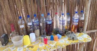 Liqueur et Spiritueux du terroir